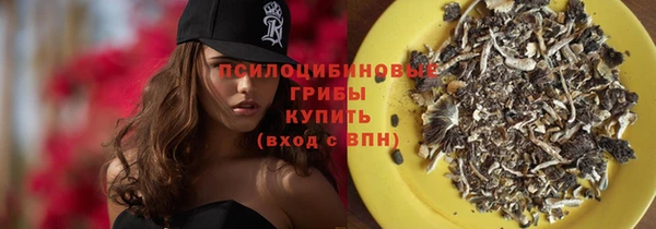 бошки Абдулино